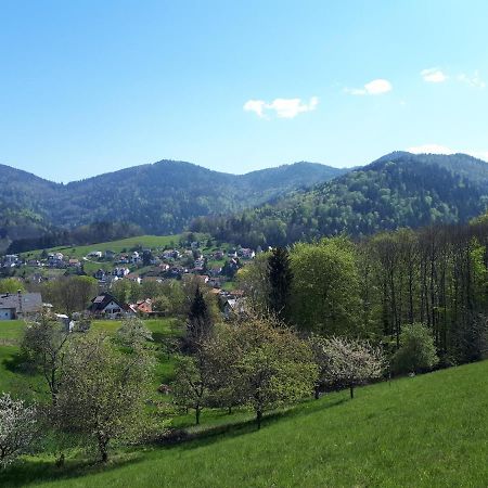 Ferienwohnung Schwarzwaldblick Bühlertal Exterior foto