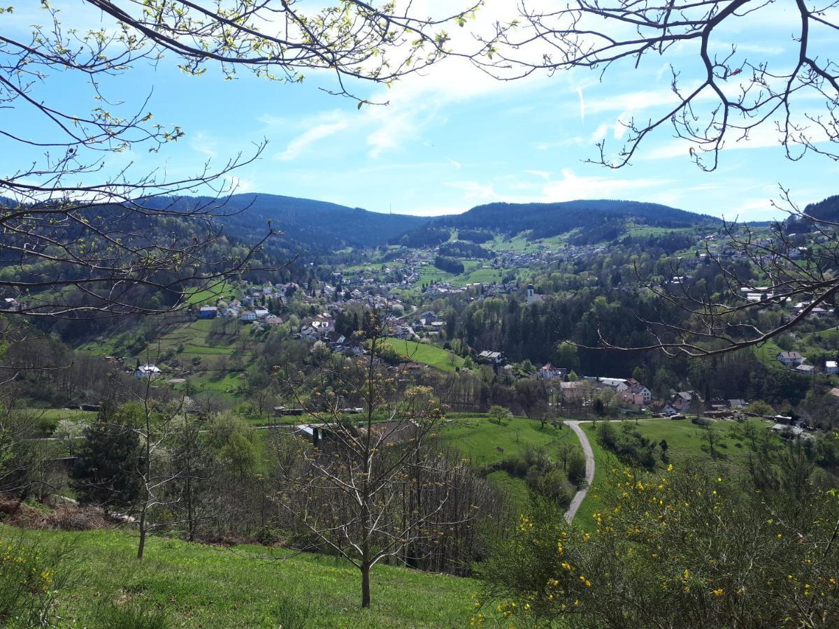 Ferienwohnung Schwarzwaldblick Bühlertal Exterior foto